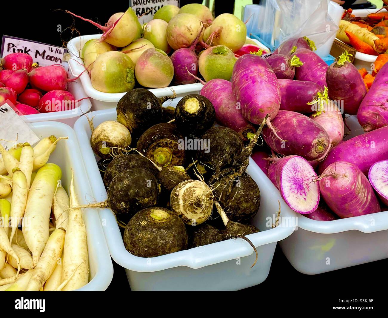 Bidoni di raggi in vendita presso un mercato agricolo a New York City Foto Stock