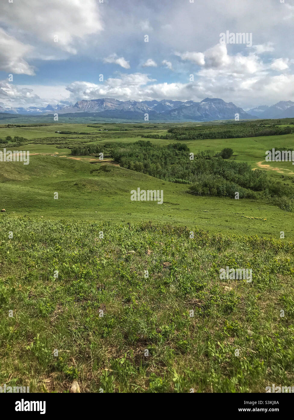 Guardando verso sud verso il confine tra Canada e Stati Uniti, dal punto di vista vicino a Twin Butte nell'Alberta meridionale, Canada, dove le montagne incontrano le praterie. - Immagine stock catturata con smartphone