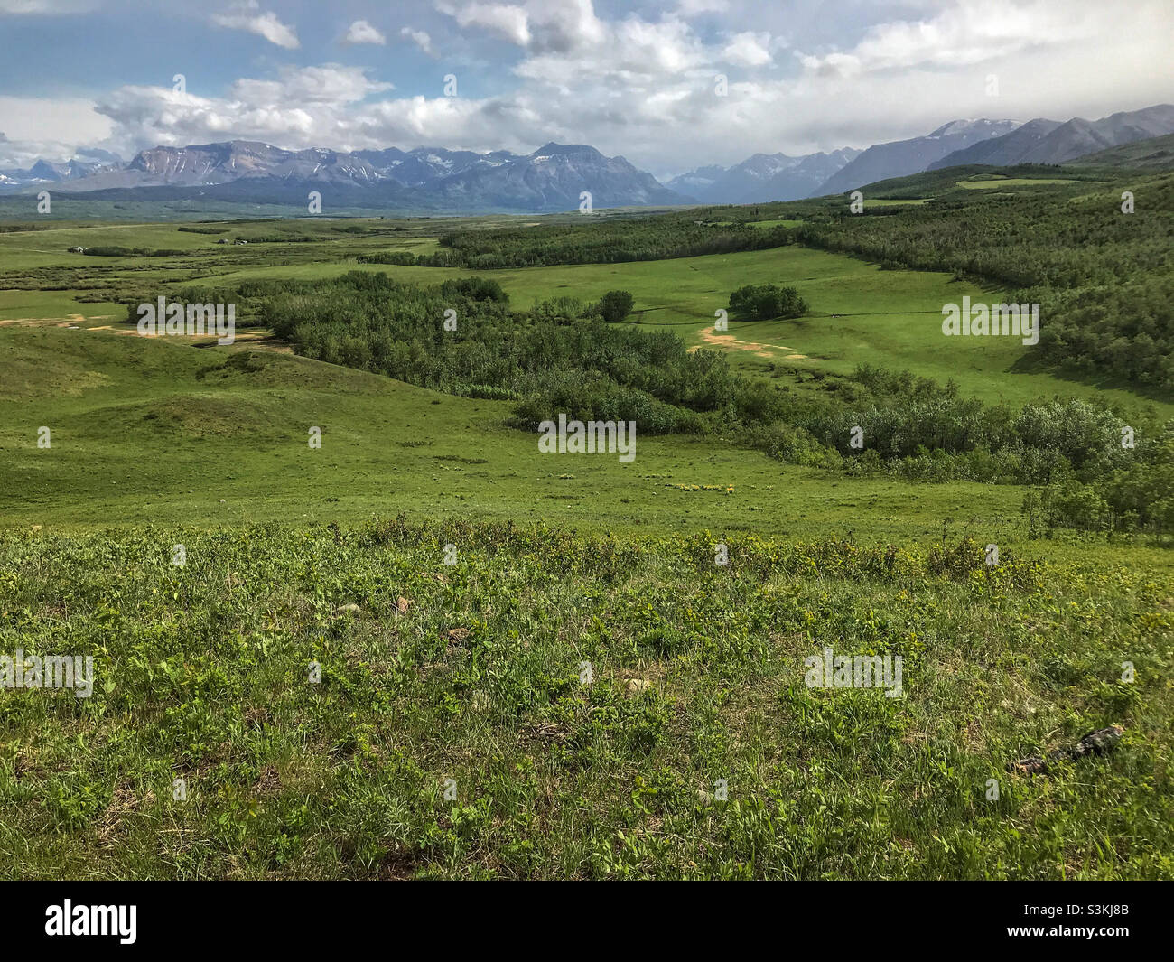 Guardando verso sud verso le Montagne Rocciose lungo il confine tra Canada e Stati Uniti, dal punto di vista vicino a Twin Butte nell'Alberta meridionale, Canada, dove le montagne incontrano le praterie. - Immagine stock catturata con smartphone