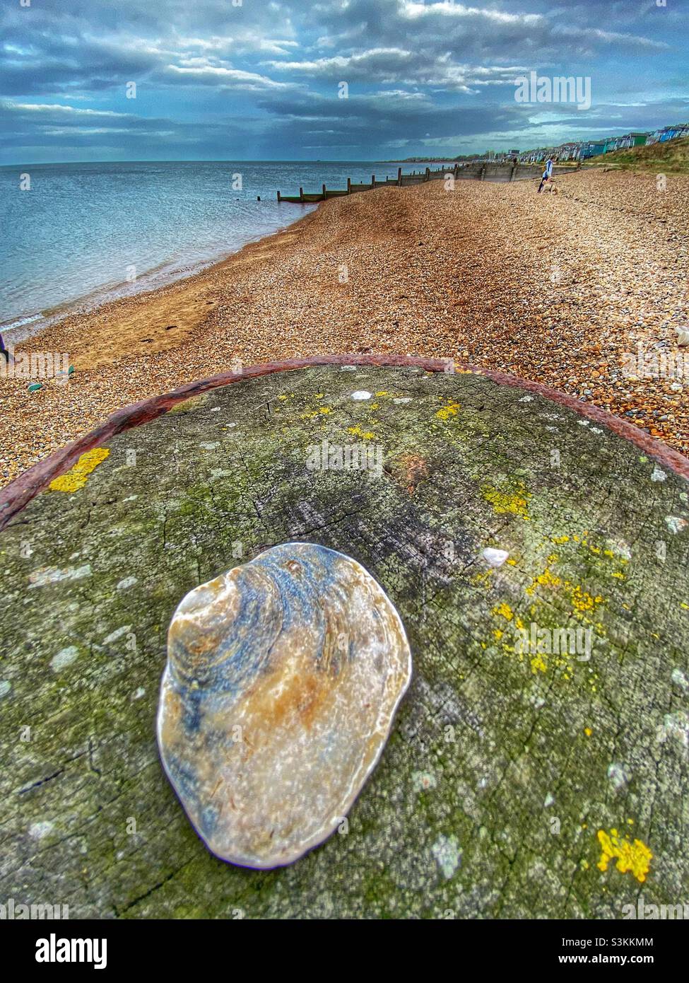 Pebble su una spiaggia Foto Stock