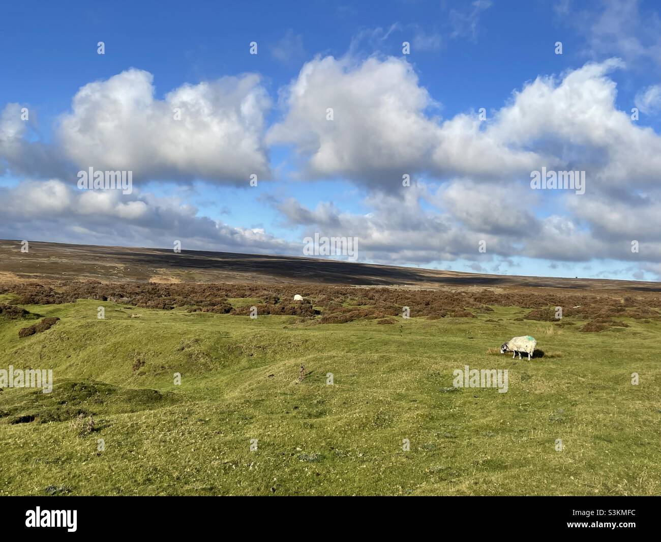 Yorkshire Moors Foto Stock