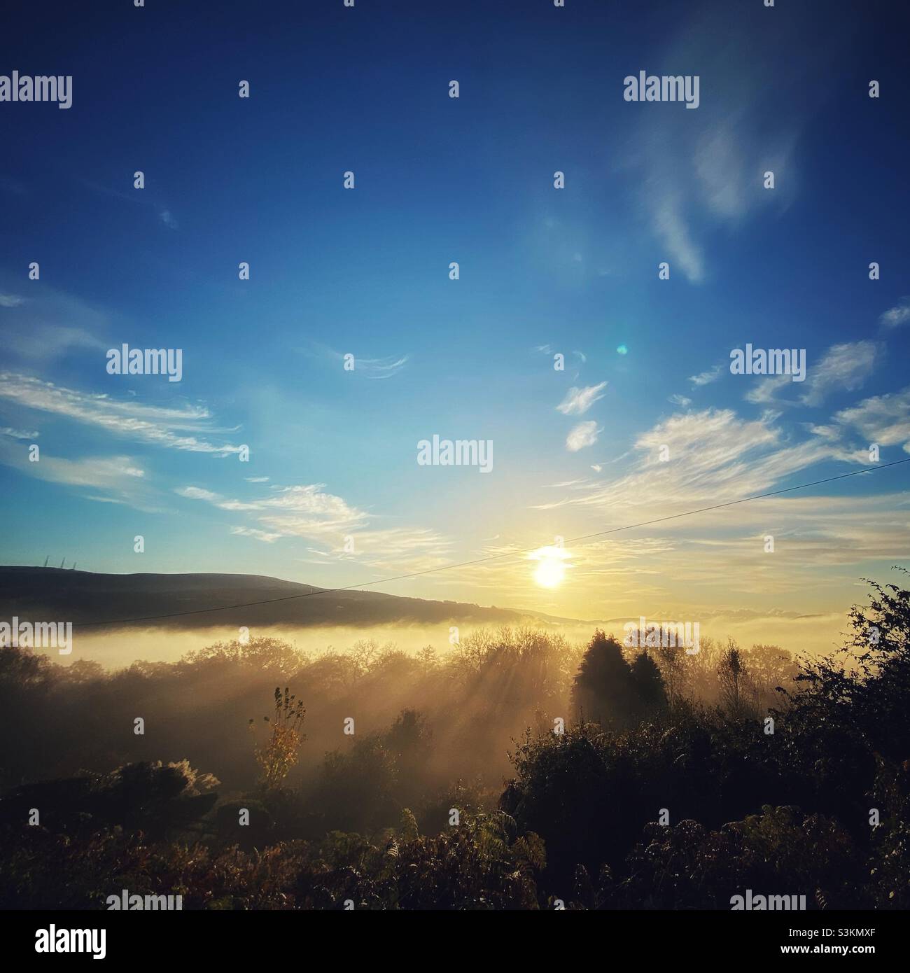 Una fotografia che guarda fuori sopra gli alberi e una valle nebbiosa all'alba Foto Stock