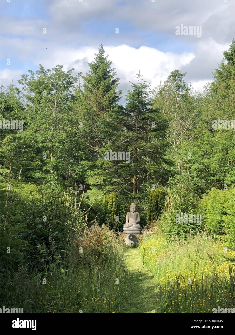 Una statua di buddha si erge in un luogo sereno in un bosco del Galles - Immagine stock catturata con smartphone