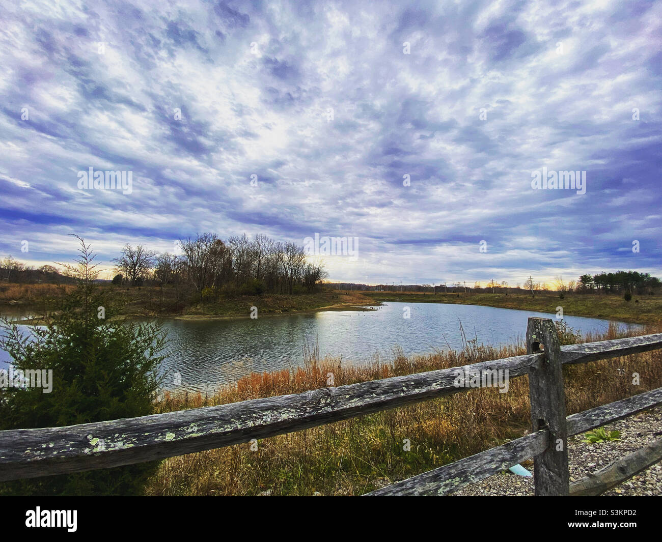 Si affaccia su una zona umida con una recinzione in legno in primo piano. Girato a Fernald conserva in autunno. Foto Stock