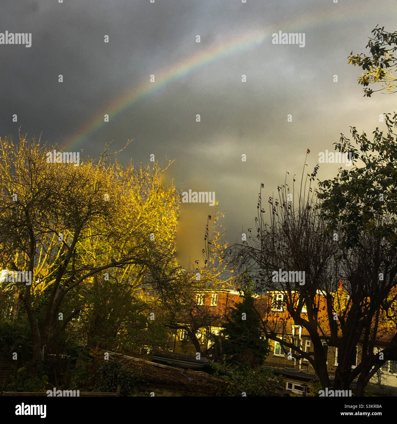 La vista dalla finestra della cucina questo pomeriggio. - Immagine stock catturata con smartphone
