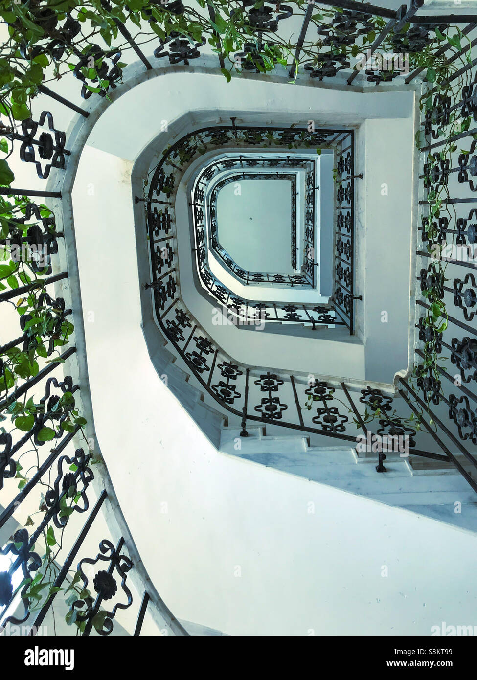 una scala piantata all'interno di un edificio - Immagine stock catturata con smartphone