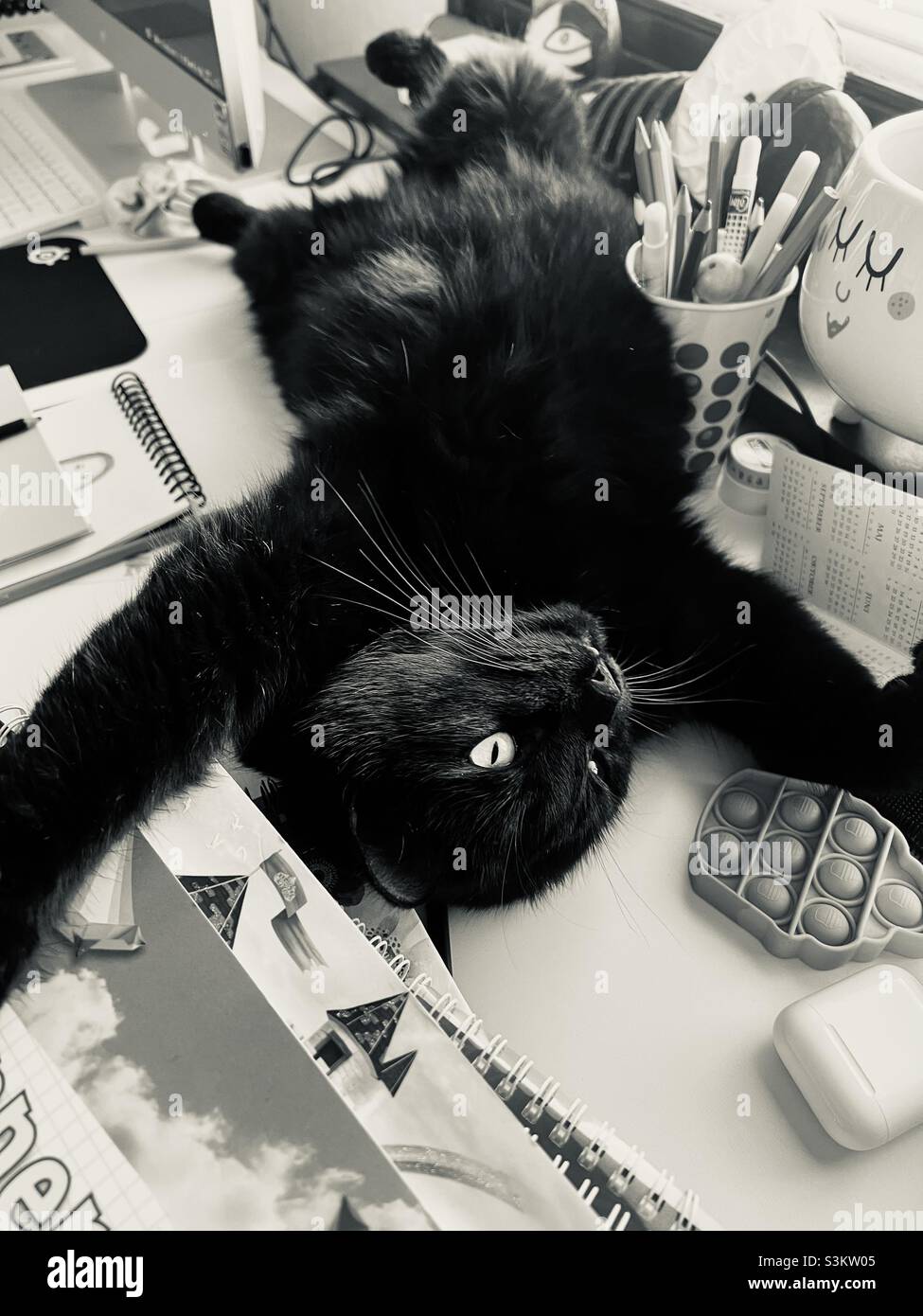 Assistenza in ufficio Foto Stock