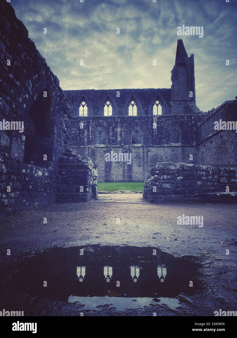 Una fotografia dell'Abbazia di Tintern con riflessi in una pozzanghera Foto Stock