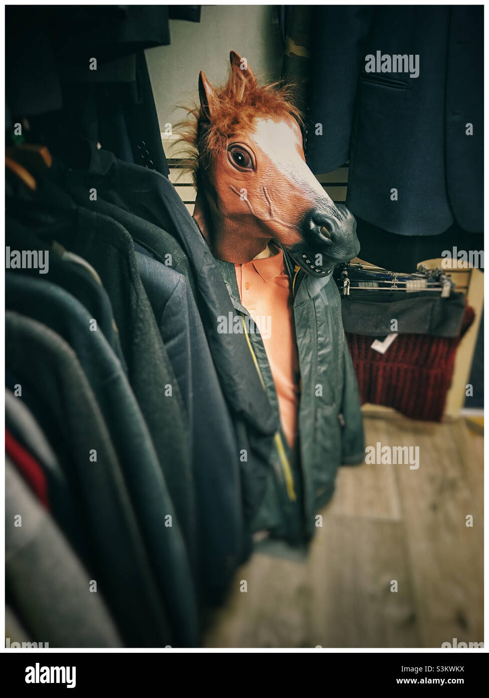 Maschera testa di cavallo nella sezione di abbigliamento di un negozio di beneficenza - Immagine stock catturata con smartphone