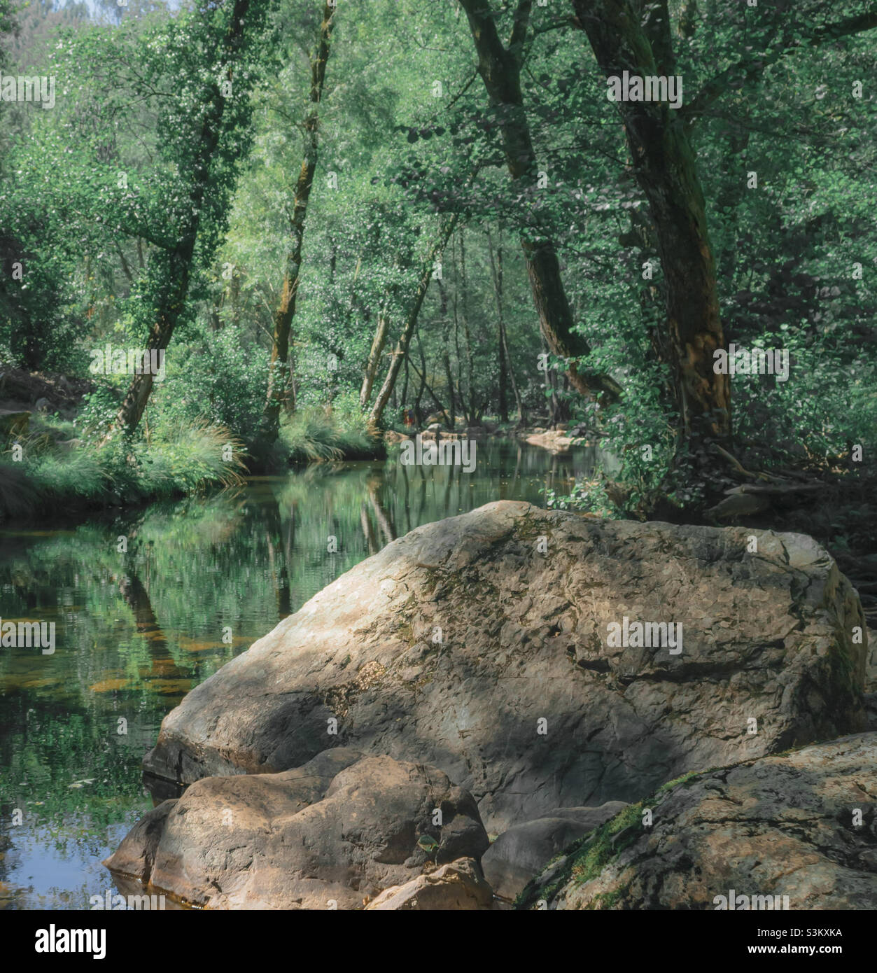 Una grande roccia in primo piano con alberi che sovrastano il fiume alle spalle Foto Stock