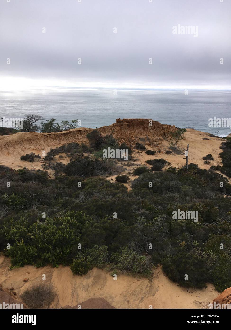 Torrey Pines state Natural Reserve San Diego California Foto Stock