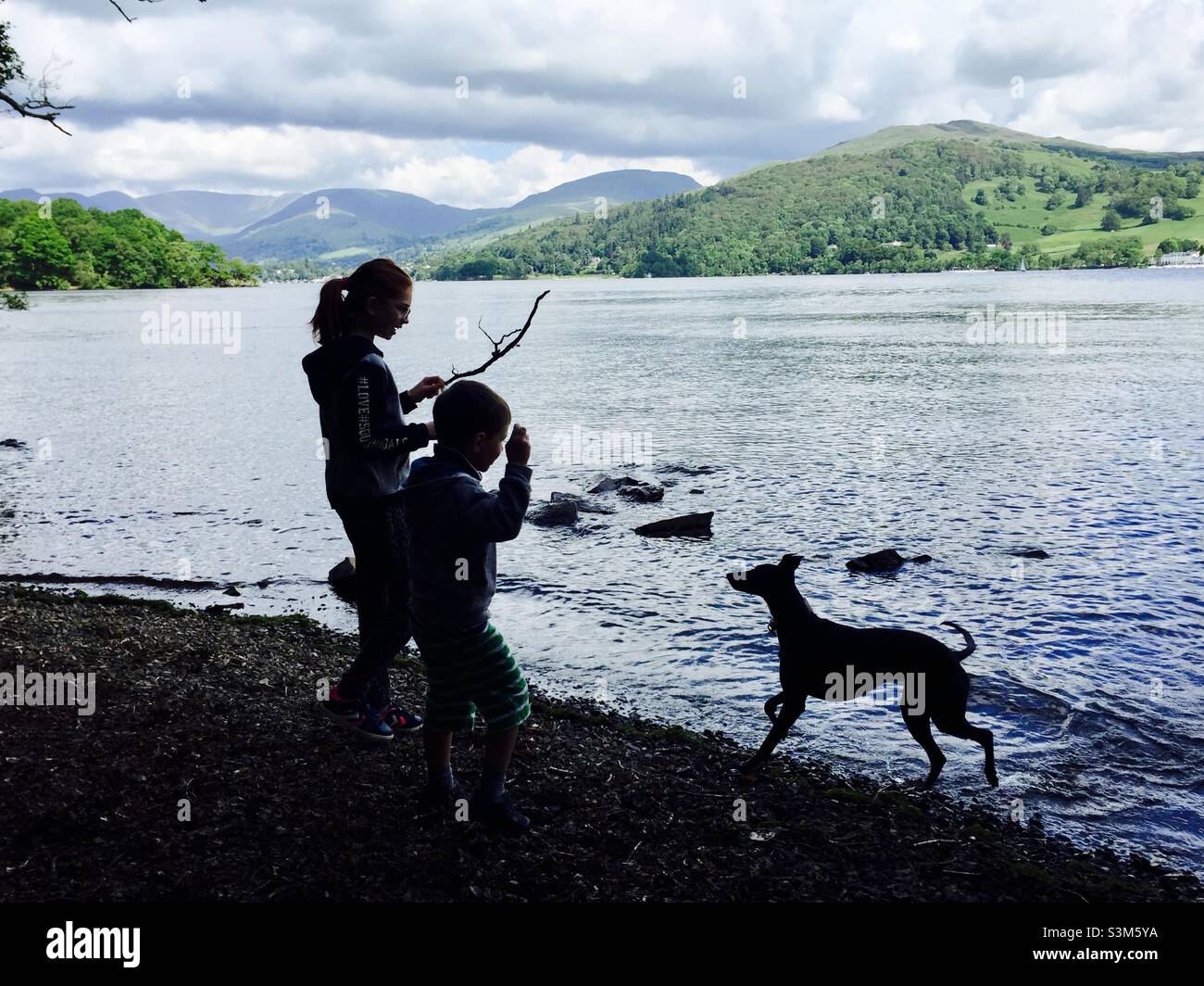 Bambini con cane giocoso vicino al lago Foto Stock