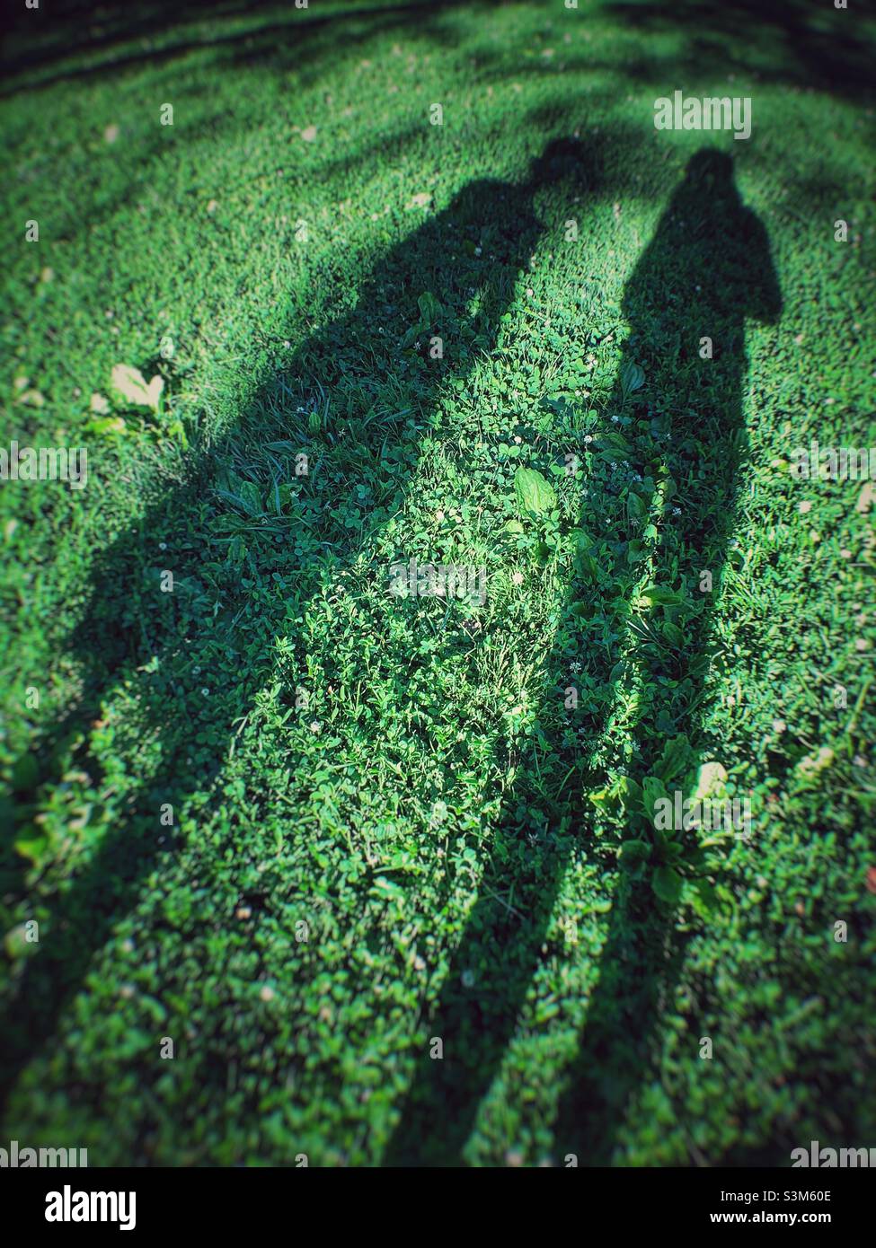 Lunghe ombre dell'uomo e della donna contro l'erba verde. - Immagine stock catturata con smartphone