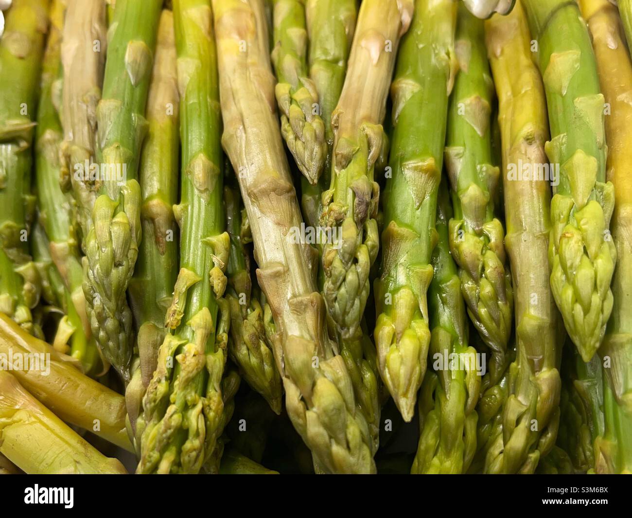 Primo piano delle punte di asparagi freschi. Sfondo. Nessuna gente. Foto Stock