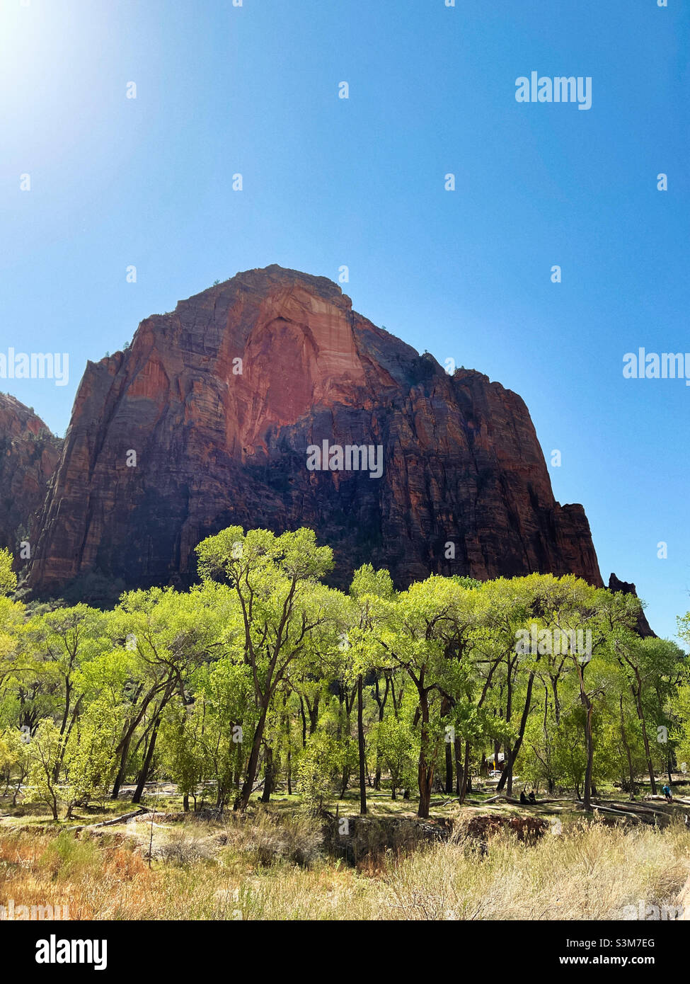 Parco Nazionale di Zion all'inizio della primavera - Immagine stock catturata con smartphone