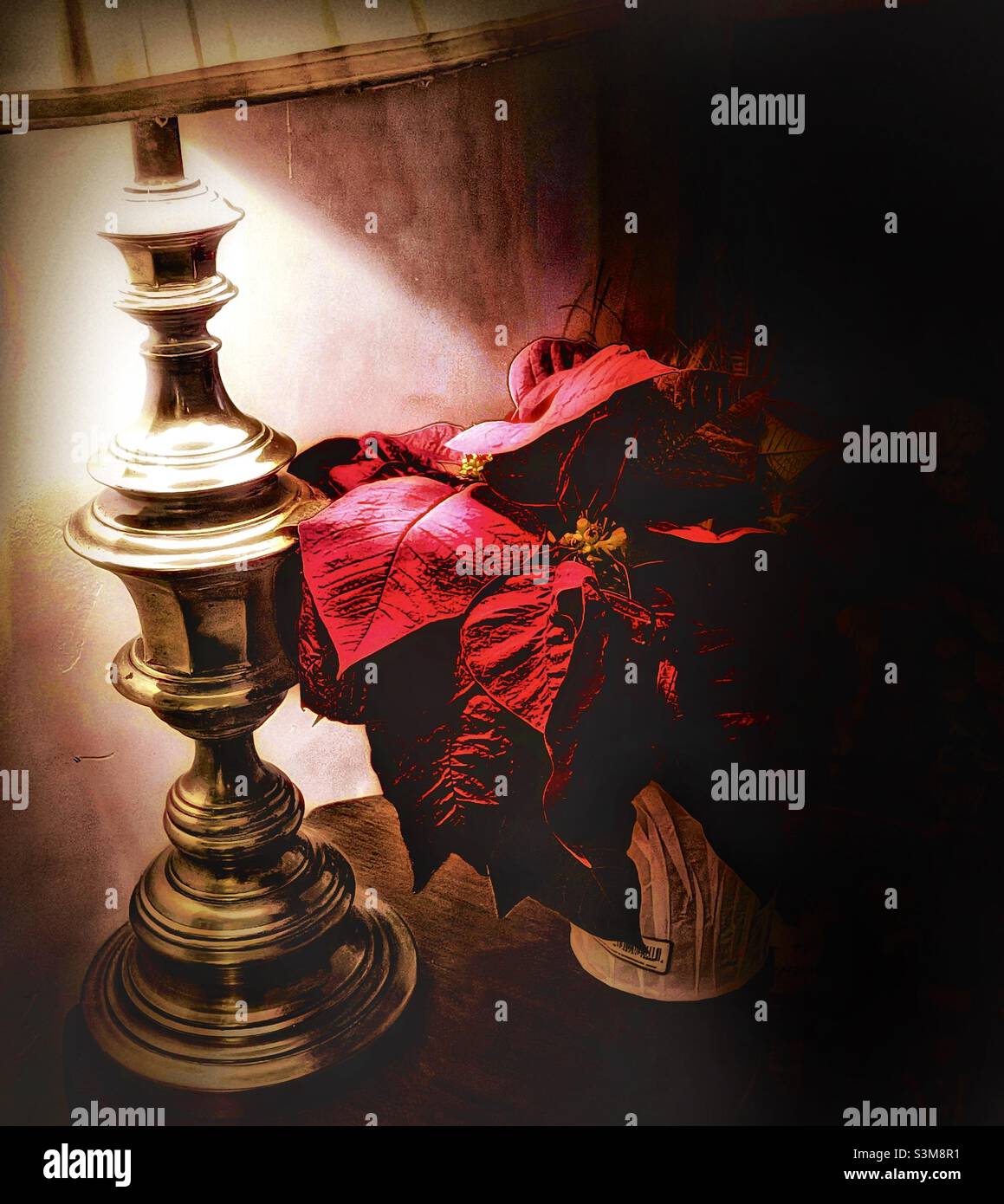 Un fiore di Natale, o pianta rossa della poinsettia, siede su un tavolino sotto una lampada illuminata. Una scena di Natale semplice ma bella. Foto Stock
