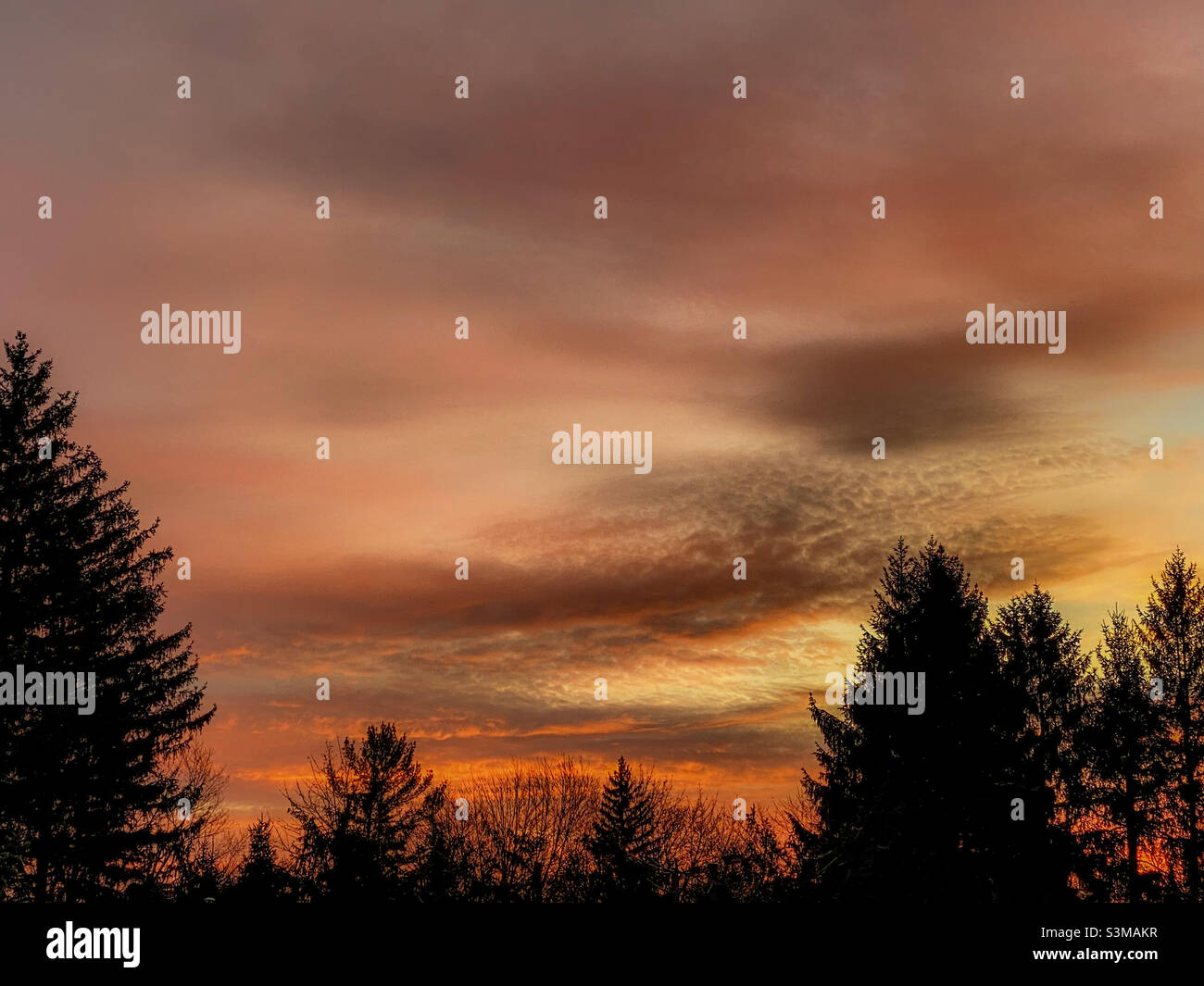 Dicembre alba fuori dal mio portico anteriore - Immagine stock catturata con smartphone