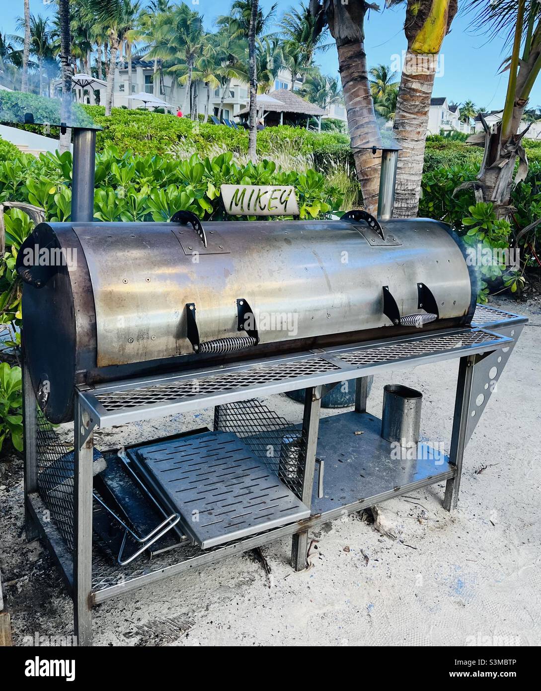 Barbecue sulla spiaggia Foto Stock