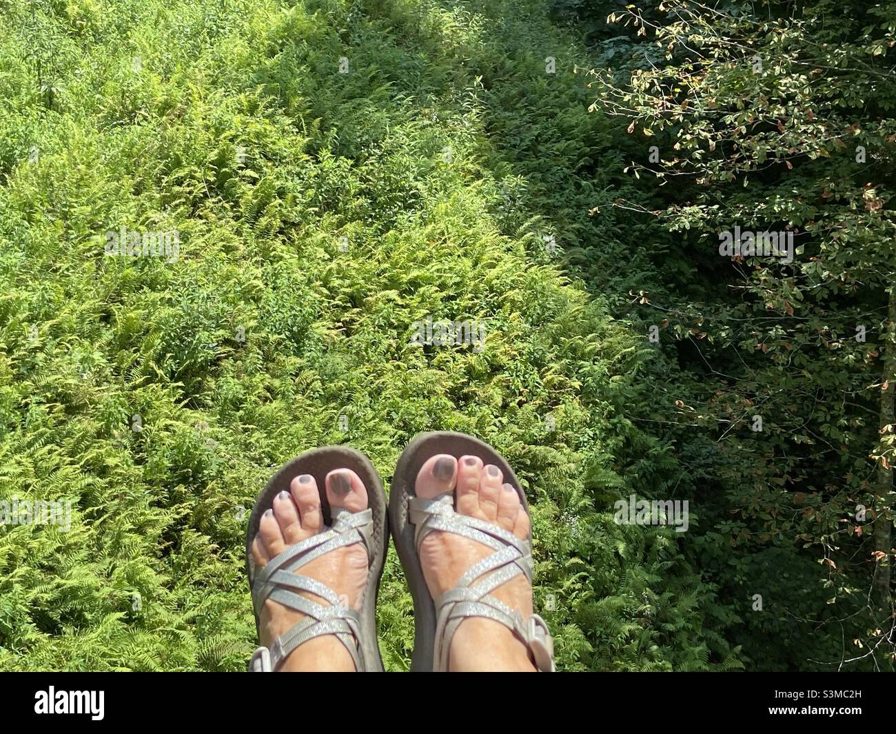 Piedi sopra la gola del Fiume Rosso Foto Stock