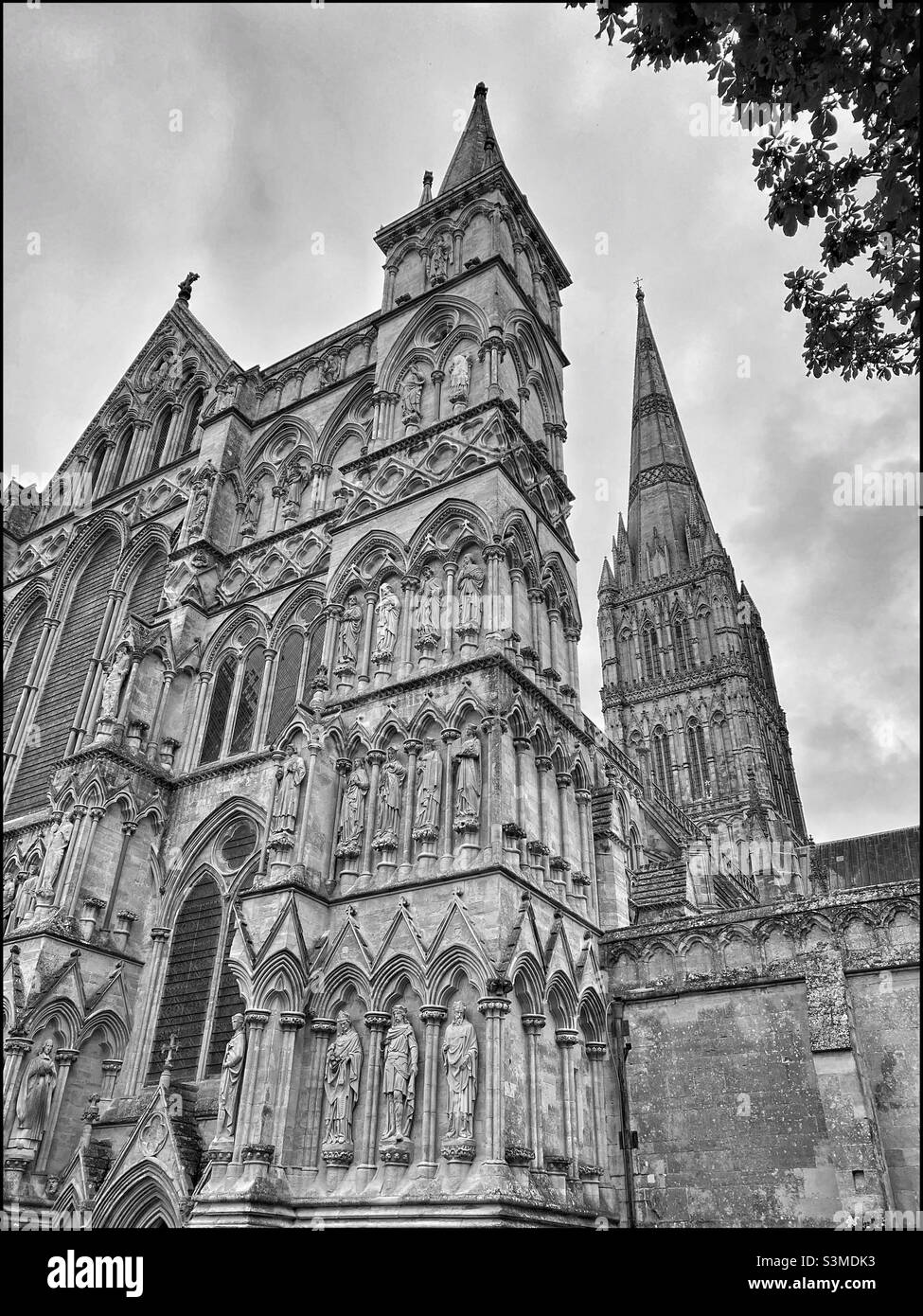 Una vista della facciata occidentale e della guglia della cattedrale di Salisbury nel Wiltshire, Inghilterra. Questa Cattedrale ospita una copia originale della Magna carta. La guglia è la più alta del Regno Unito. Foto ©️ COLIN HOSKINS. Foto Stock