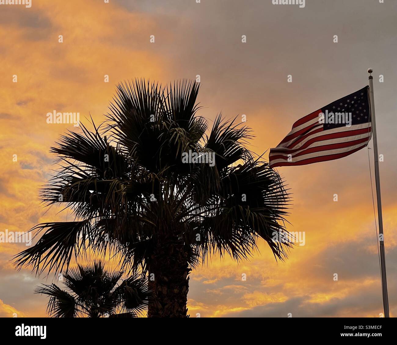 Spazio copia natura luminoso tramonto palme soffiare bandiera sole bloccato da palme Foto Stock
