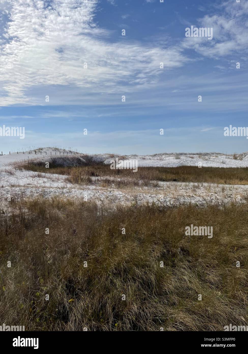 Dune invernali sulla spiaggia di sabbia bianca della Florida Foto Stock