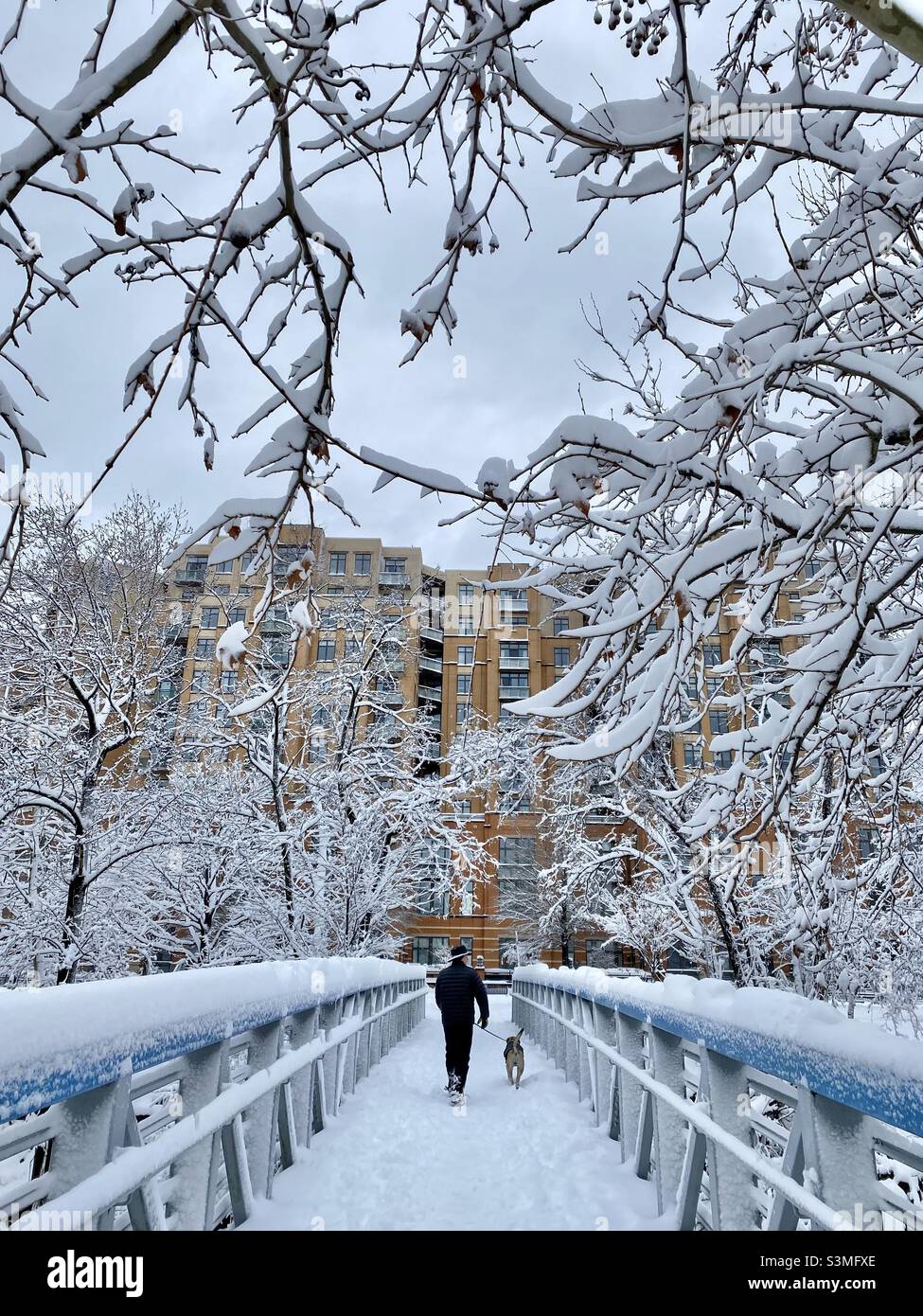 Un uomo ed il suo cane camminano attraverso un ponte pedonale dopo una nevicata fresca. - Immagine stock catturata con smartphone