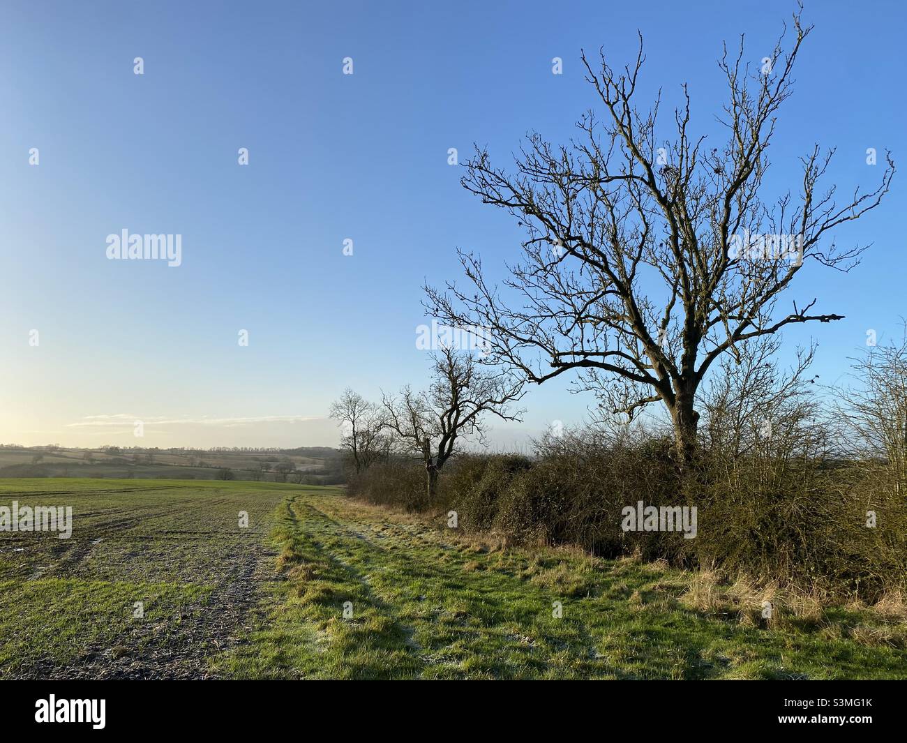 Vista su un campo in campagna con un cielo blu brillante Foto Stock