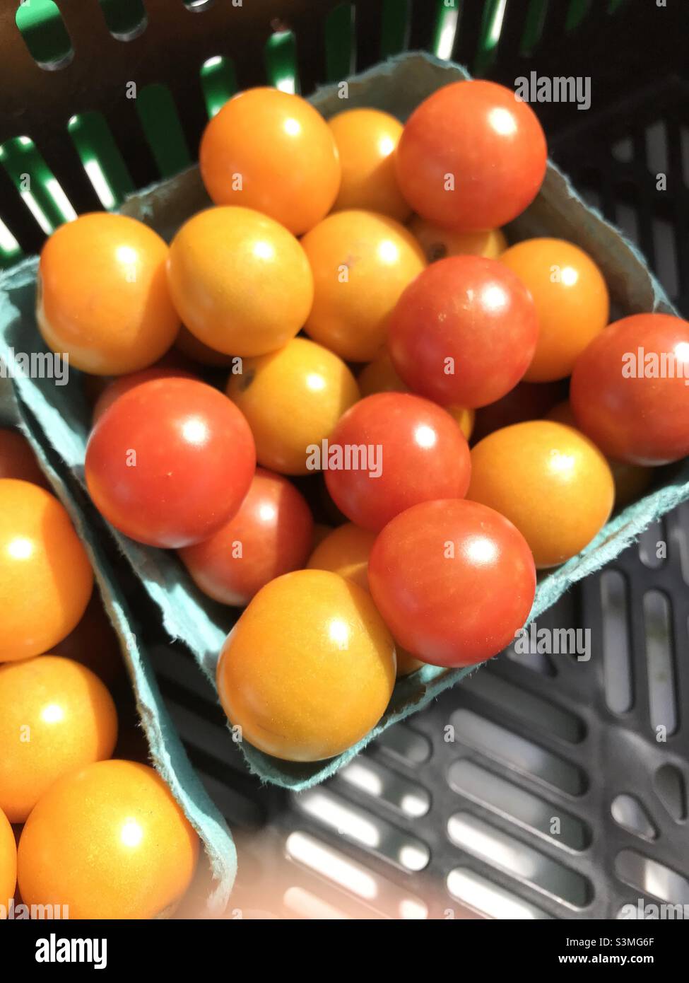 Pomodori ciliegini, in varietà arancio e rosso, in piccoli cestini per la vendita al mercato agricolo Foto Stock