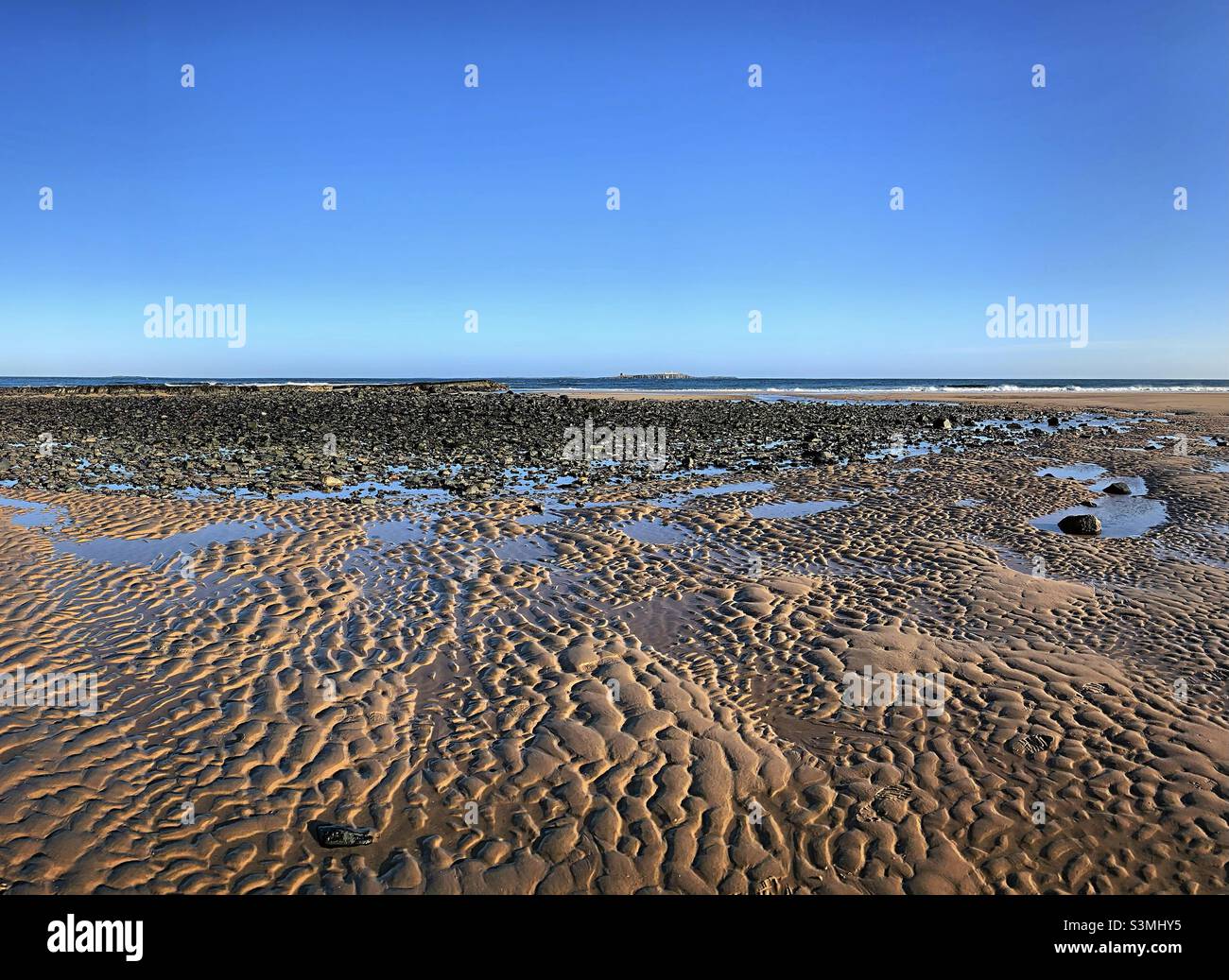 La bassa marea “onde nella sabbia” sulla costa del Northumberland lascia un modello soddisfacente nella sabbia. In lontananza, Coquet Island può essere visto in questo giorno di cielo blu chiaro Foto Stock