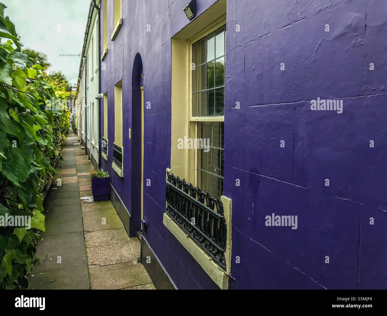Casa viola di Brighton Foto Stock