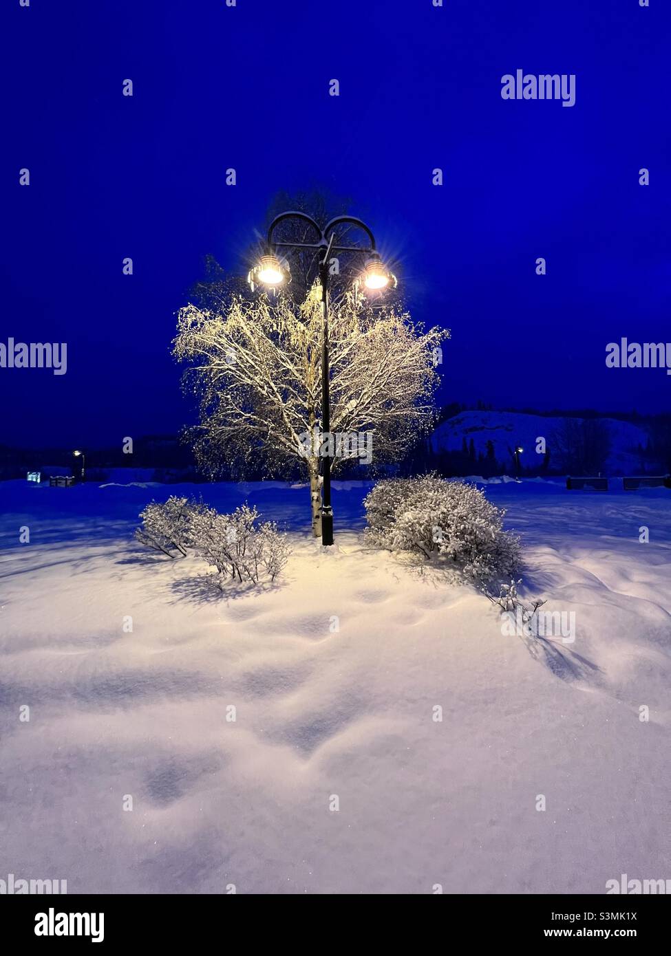 Luce stradale gialla durante la nevicata nella notte blu d'inverno con albero sullo sfondo Foto Stock
