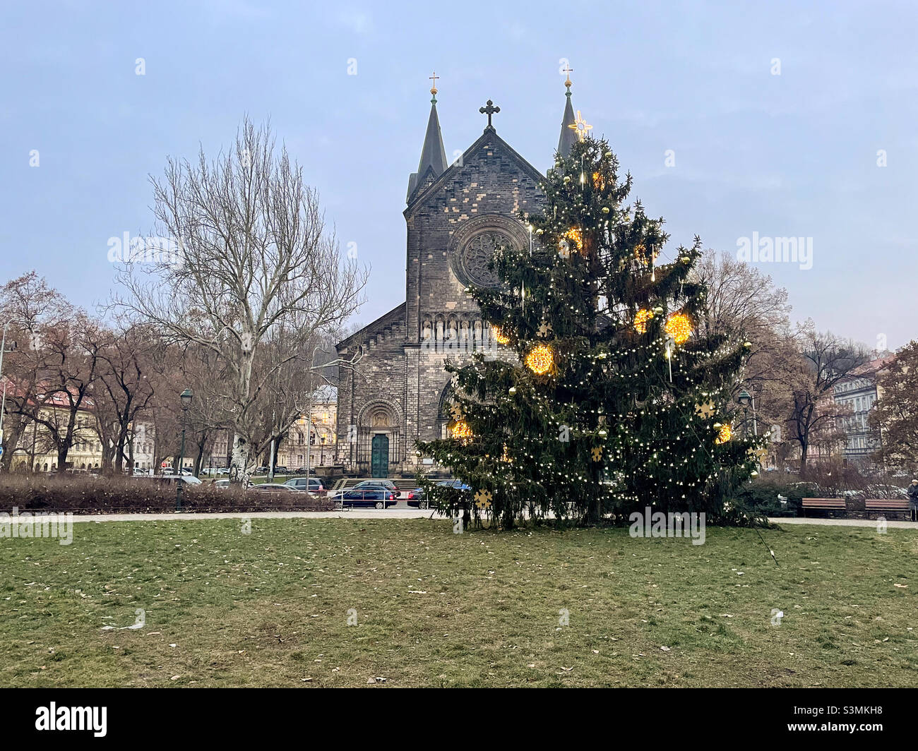 Albero di Natale dal vivo decorato in modo sottile nel parco in Piazza Karlin di fronte alla Chiesa dei Santi Cirillo e Metodio a Praga, Repubblica Ceca. - Immagine stock catturata con smartphone