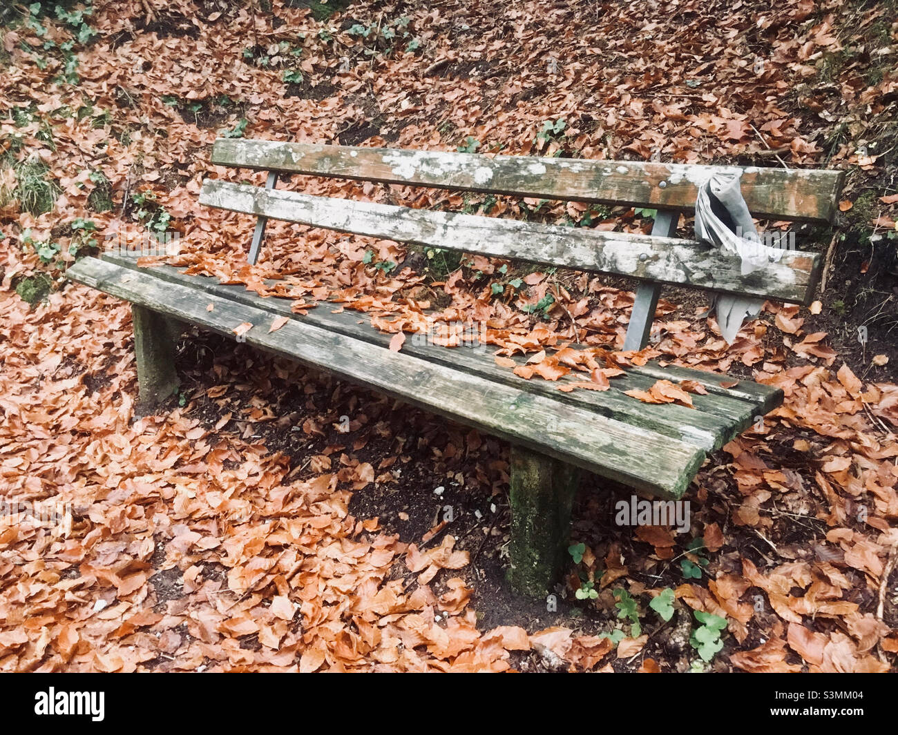 Holzbank mit Zeitung im Herbstlaub Foto Stock