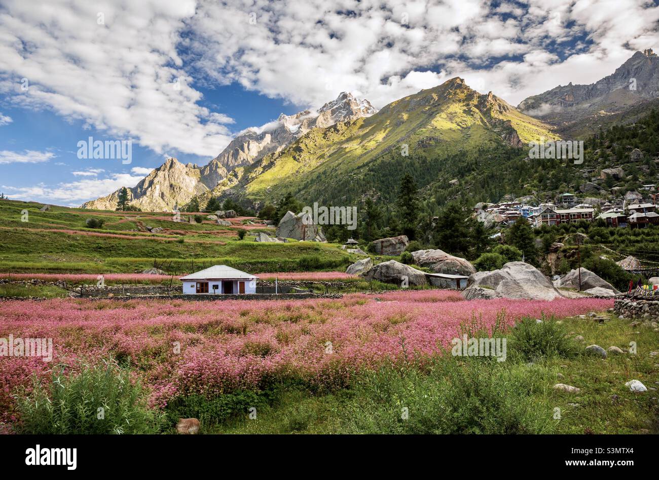 Il villaggio di Rakchham in Himachal Pradesh circondato da un bellissimo paesaggio di Himalaya, India Foto Stock
