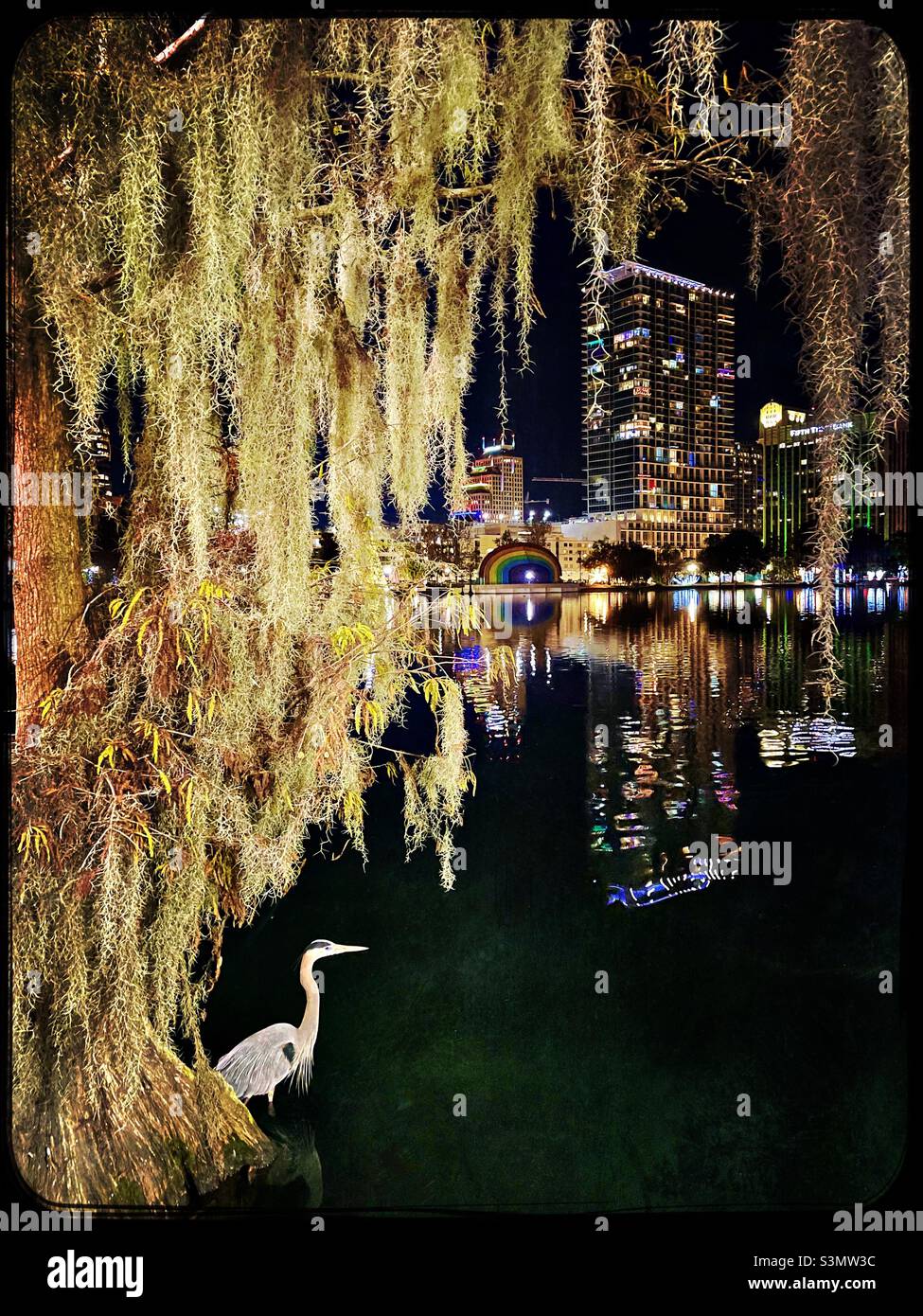 Lago Eola, Orlando, Florida con airone di notte Foto Stock