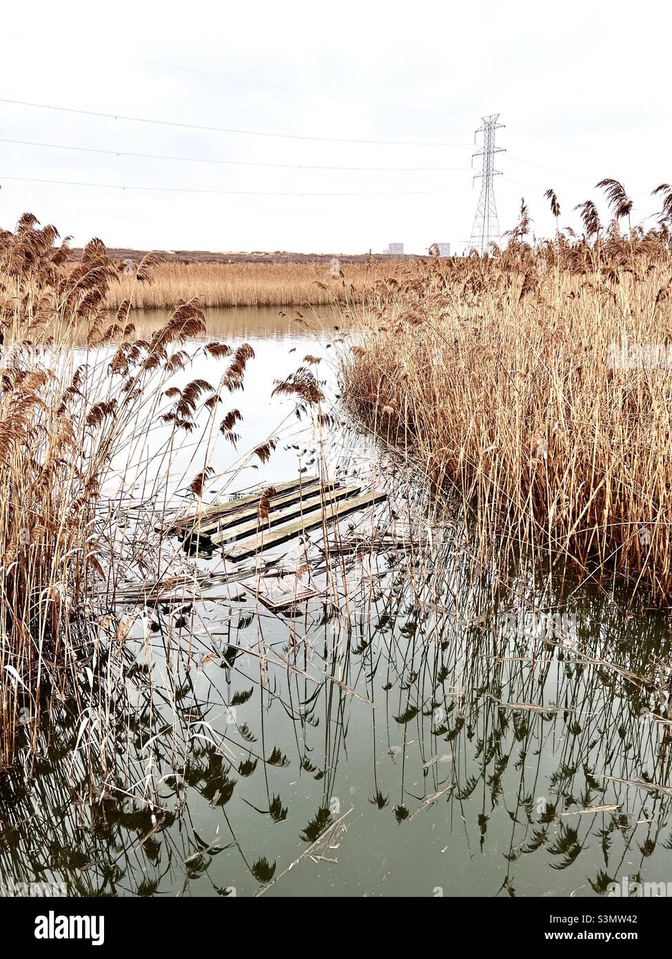 New Jersey Meadowlands. - Immagine stock catturata con smartphone