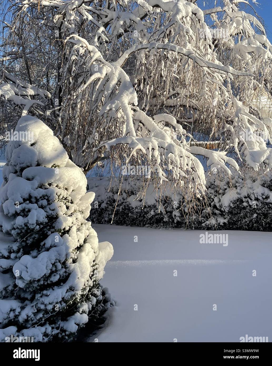 La nevicata pesante (1 piedi) lascia un paese delle meraviglie invernali nel nostro cortile di fronte a Utah, Stati Uniti. - Immagine stock catturata con smartphone
