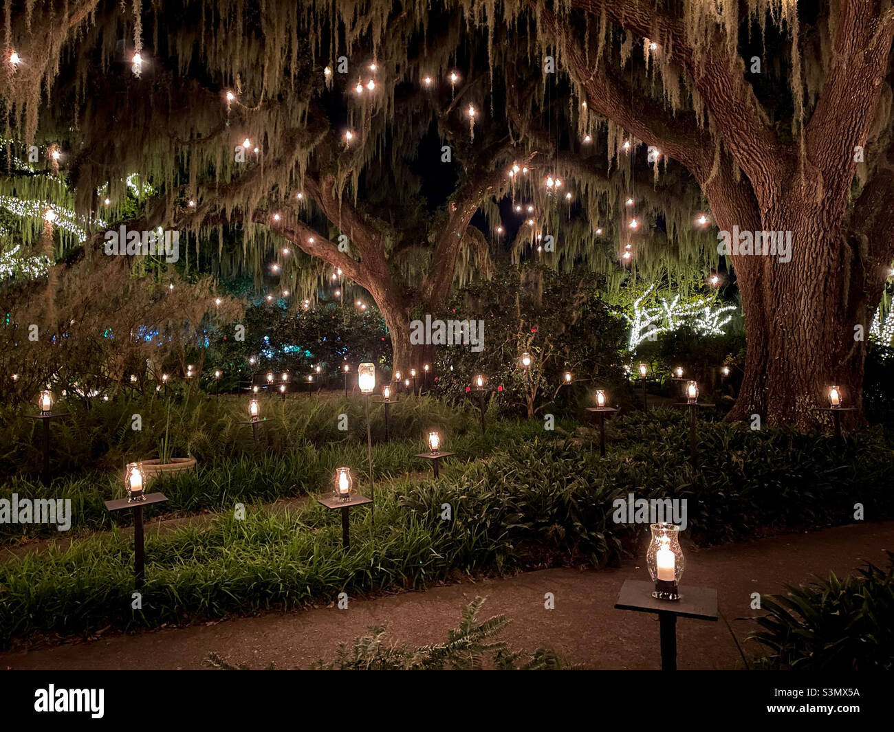 Brookgreen Gardens Nights of a Thousand Candles Oak Trees and lighted pathway. Brookgreen Gardens, Murrells Inlet, South Carolina. Foto Stock