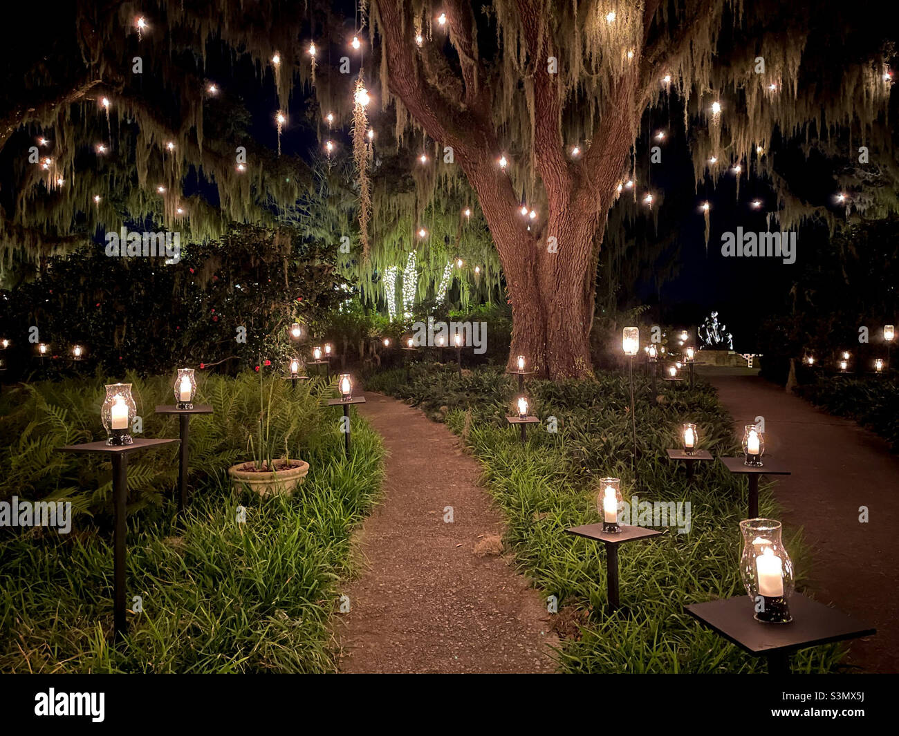 Brookgreen Gardens Nights of a Thousand Candles Oak Trees and lighted pathway. Brookgreen Gardens, Murrells Inlet, South Carolina. Foto Stock
