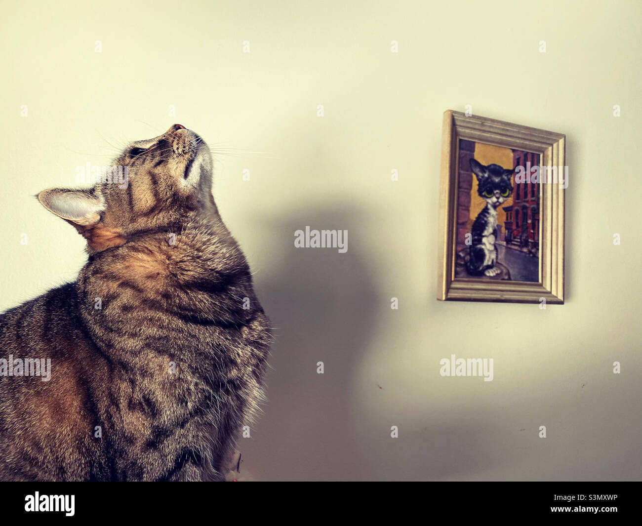 Non cercare - Immagine stock catturata con smartphone