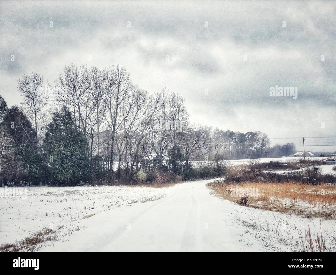 North Carolina farm neve scena lungo il vialetto nel mese di gennaio Foto Stock