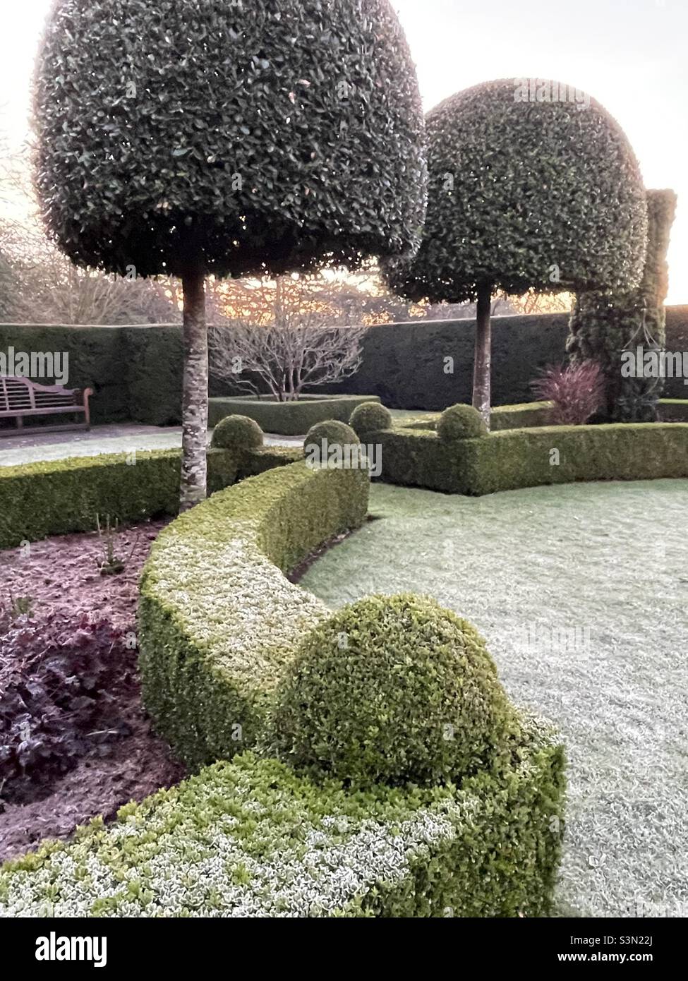 Il parterre di un hotel di campagna in Rutland, visto all'alba, il bellissimo topiary bianco con gelo Foto Stock