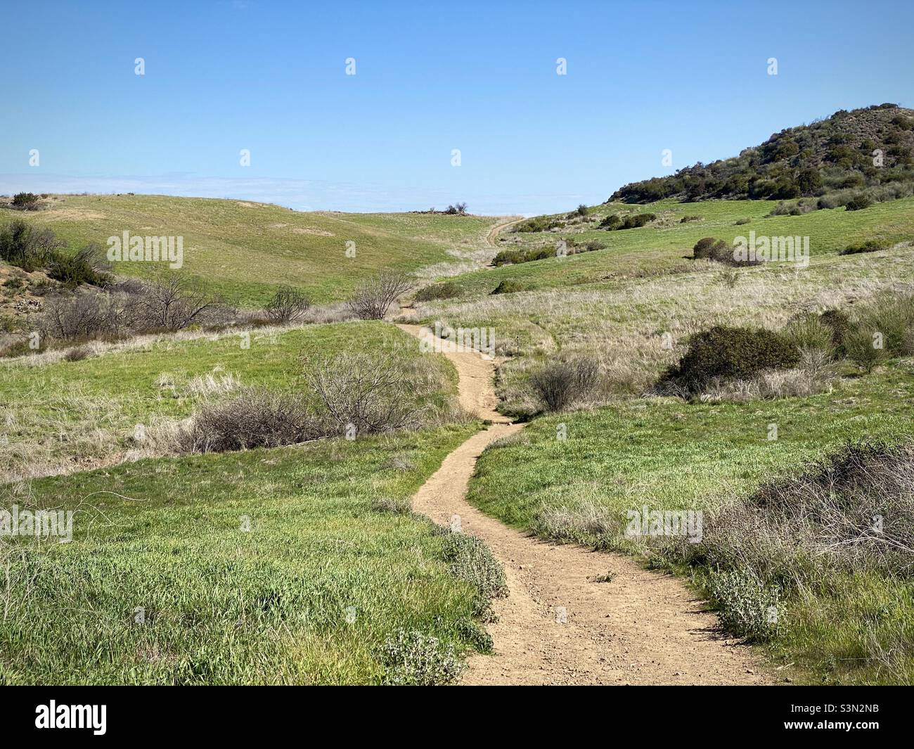 Tortuoso sentiero escursionistico attraverso praterie a Rancho Sierra Vista, Newbury Park, California. Cielo blu chiaro Foto Stock