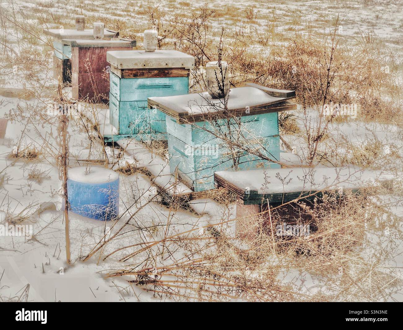 North Carolina bee box nella neve - Immagine stock catturata con smartphone