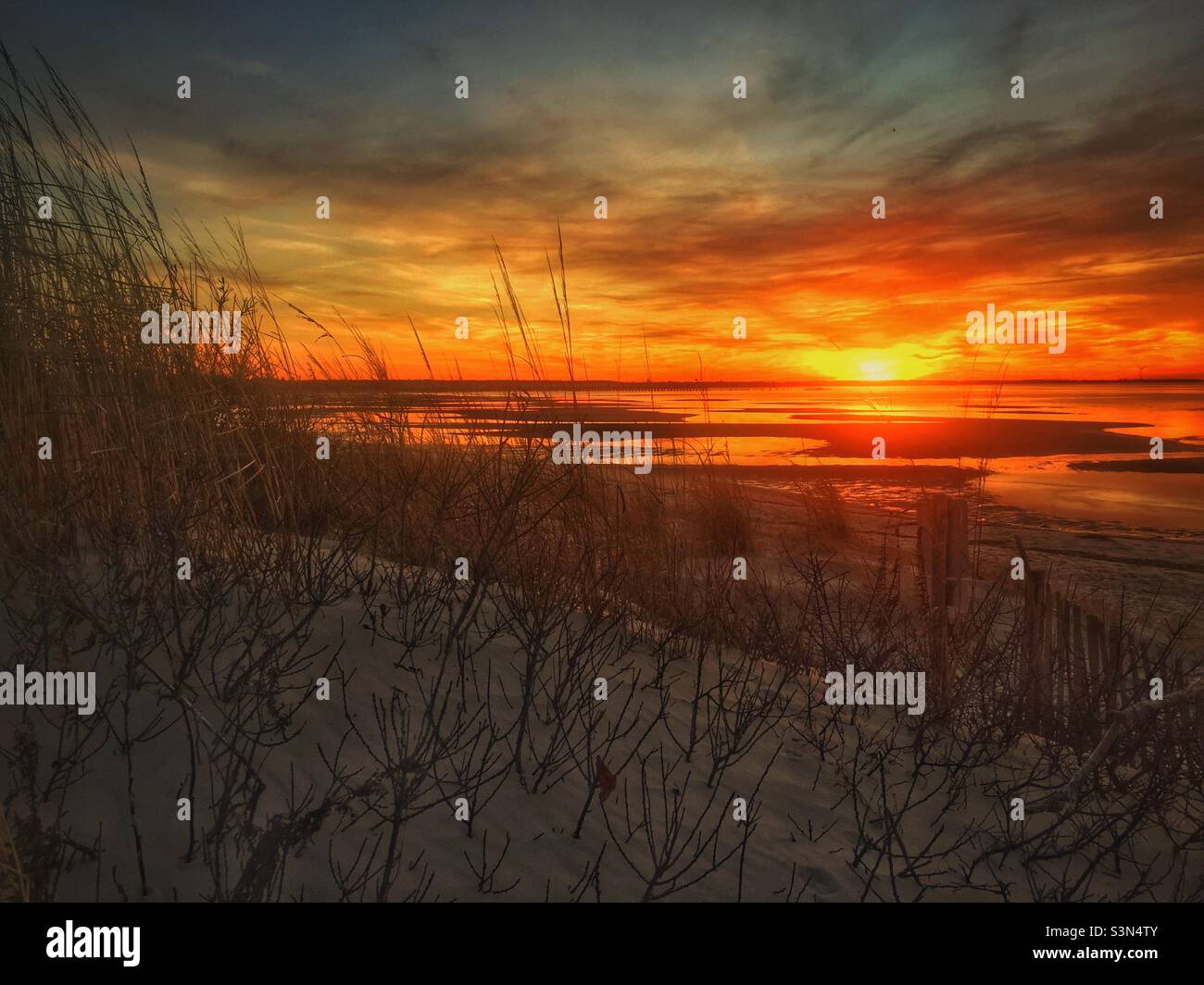 Tramonto al Cape Henlopen state Park, DE Foto Stock