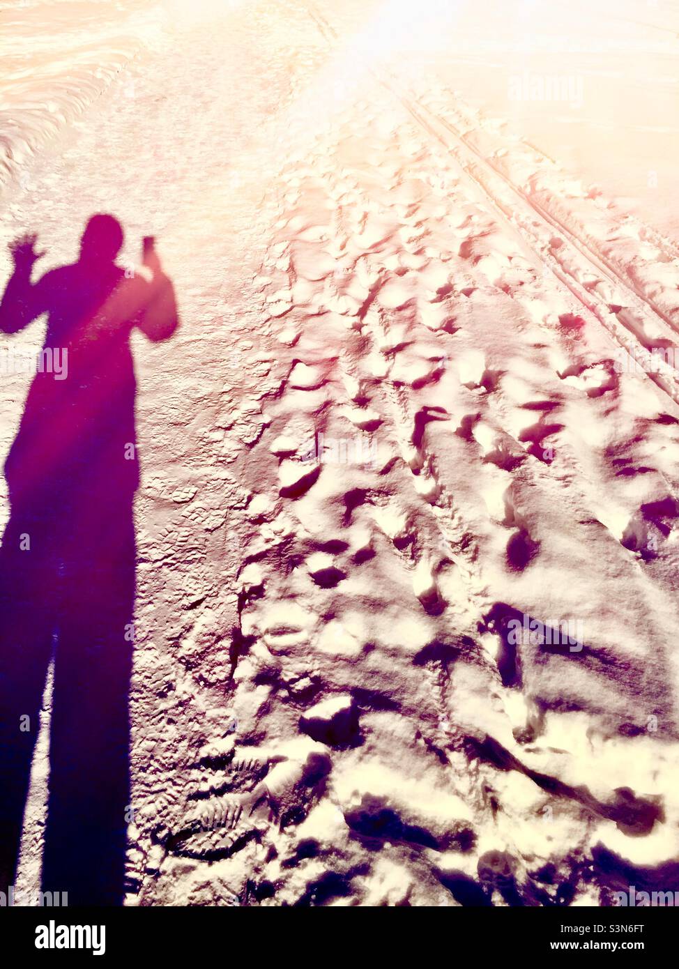 Selfie in sole accecante, in silhouette, su neve fresca., Ontario, Canada. Una giornata di sole nei morti d'inverno. Ombra lunga. - Immagine stock catturata con smartphone