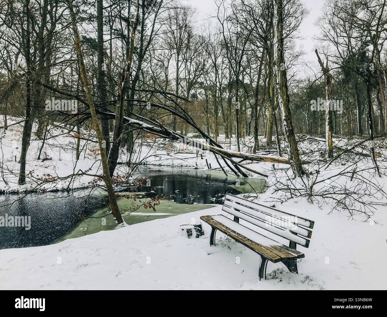 Panchina coperta di neve nel parco invernale - Immagine stock catturata con smartphone