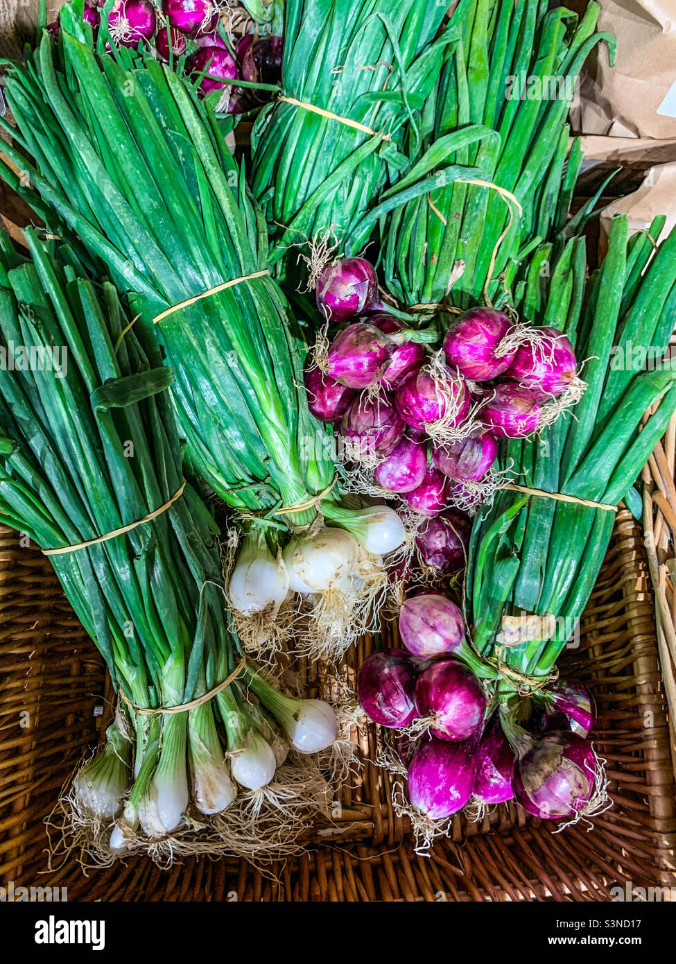 Mazzi di cipolline e ravanelli in cestino Foto Stock