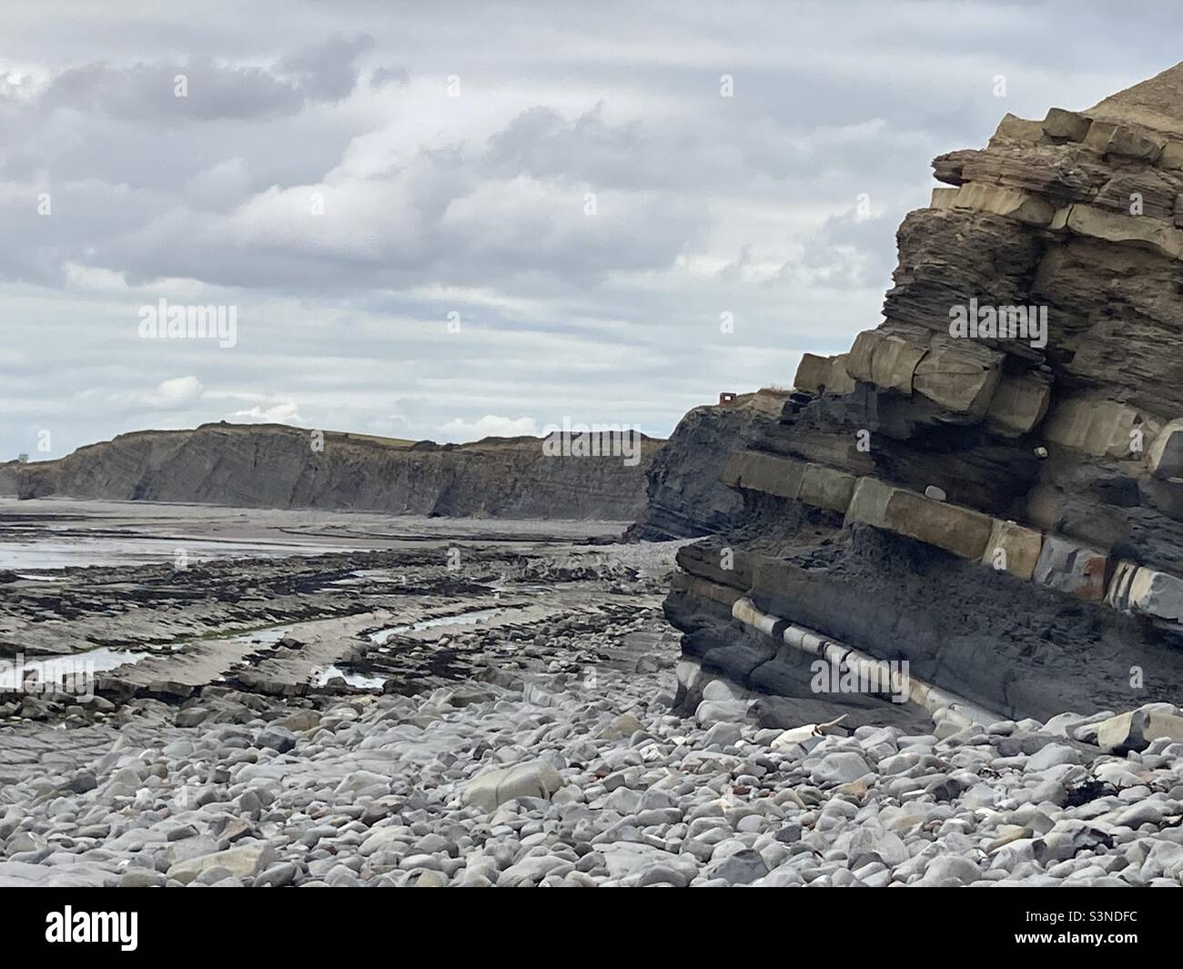 A caccia di fossili Foto Stock